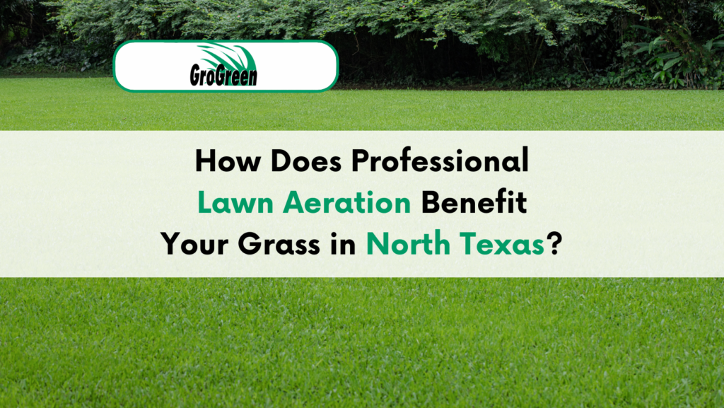 Tree and Shrub Feeding