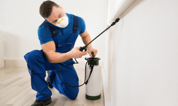 worker carefully spraying pesticides in a house