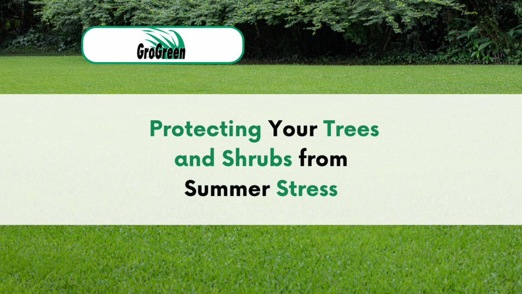 Protecting Your Trees and Shrubs from Summer Stress