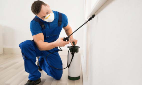 man destroying pests with pesticide