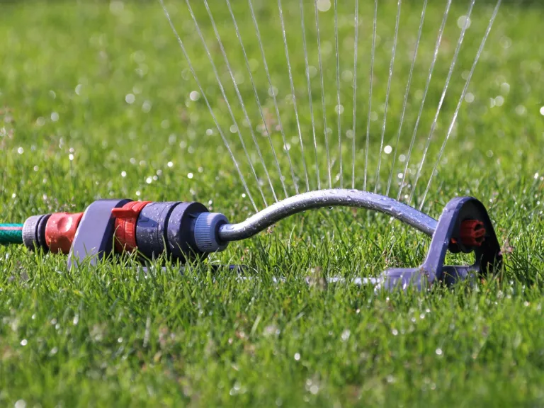 A sprinkler irrigating a yard