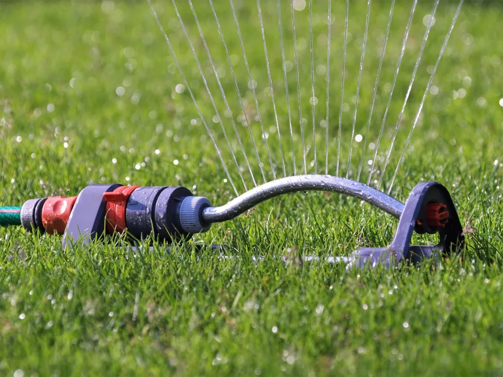 DFW Lawn Tips: The Best Time to Water Grass