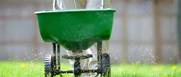 Lawn Fertilizer Schedule & Tips for DFW Yards